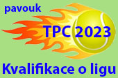 ico TPC2023 divizeskupinytabulky