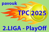 ico TPC2025 divizeherniplan