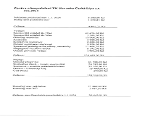 2024 zaverecna zprava hospodareni TK Slovanka CL 1